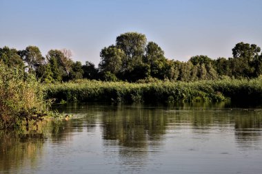 Günbatımında İtalya kırsalında bir bataklıkta kanal