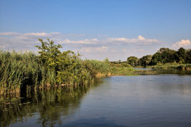 Gün batımında suya yansıyan bir ormanla çevrili bir nehirdeki kanal.