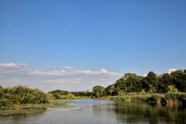 Gün batımında suya yansıyan bir ormanla çevrili bir nehirdeki kanal.