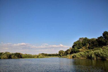 Gün batımında suya yansıyan bir ormanla çevrili bir nehirdeki kanal.