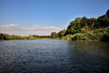 Gün batımında suya yansıyan bir ormanla çevrili bir nehirdeki kanal.