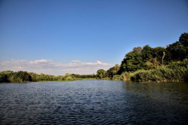 Gün batımında suya yansıyan bir ormanla çevrili bir nehirdeki kanal.