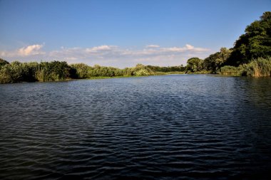 Gün batımında suya yansıyan bir ormanla çevrili bir nehirdeki kanal.