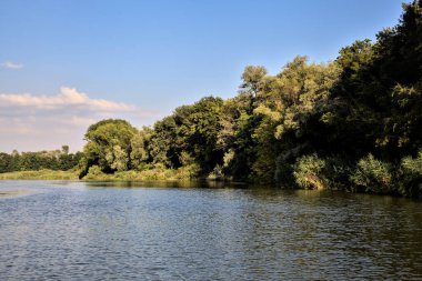 Gün batımında suya yansıyan bir ormanla çevrili bir nehirdeki kanal.