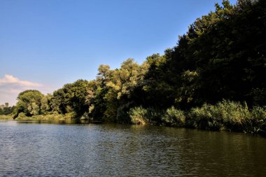 Gün batımında suya yansıyan bir ormanla çevrili bir nehirdeki kanal.