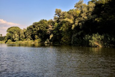 Gün batımında suya yansıyan bir ormanla çevrili bir nehirdeki kanal.