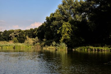 Gün batımında suya yansıyan bir ormanla çevrili bir nehirdeki kanal.