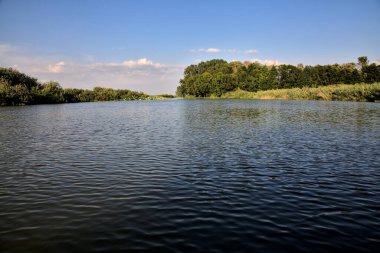 Gün batımında suya yansıyan bir ormanla çevrili bir nehirdeki kanal.