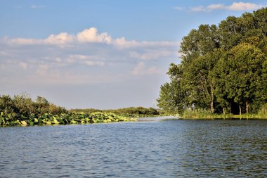Gün batımında suya yansıyan bir ormanla çevrili bir nehirdeki kanal.