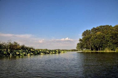 Gün batımında suya yansıyan bir ormanla çevrili bir nehirdeki kanal.