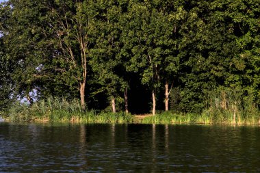 Gün batımında bir nehrin kıyısında. Etrafı ağaçlarla çevrili.