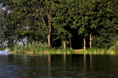 Gün batımında bir nehrin kıyısında. Etrafı ağaçlarla çevrili.