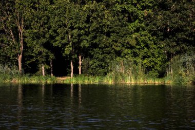 Gün batımında bir nehrin kıyısında. Etrafı ağaçlarla çevrili.