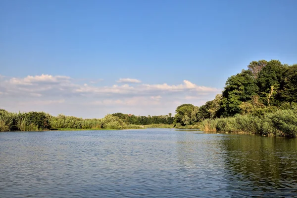 夕暮れ時に水面に反射する森に囲まれた川の運河 — ストック写真