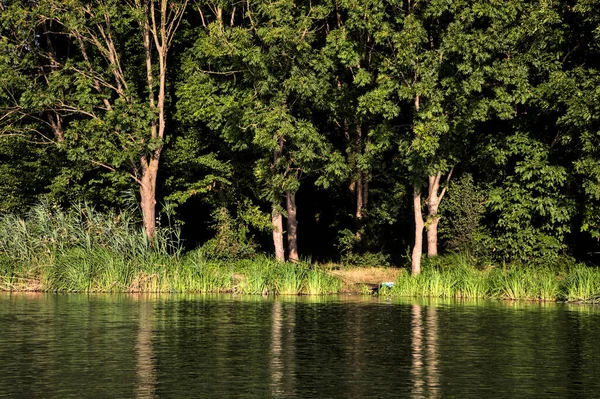 Gün batımında bir nehrin kıyısında. Etrafı ağaçlarla çevrili.