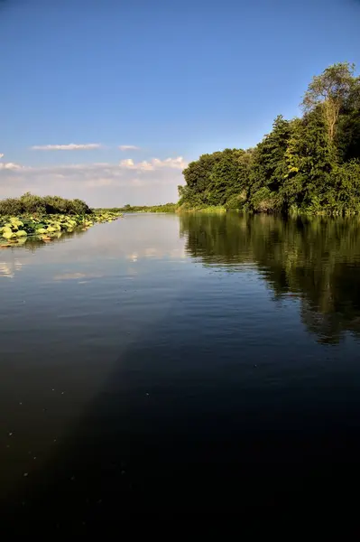 Canal Rio Limitado Por Uma Floresta Que Lança Seu Reflexo — Fotografia de Stock