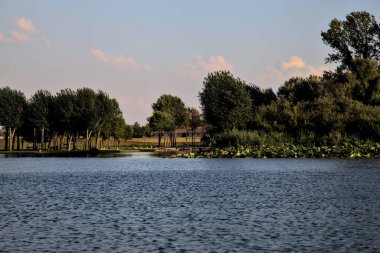 Kırsal kesimde bir nehirde demirlemek uzaktan görülebiliyor.