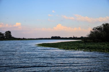 Alacakaranlıkta İtalya kırsalında Lotus bitkileri ve ormanları olan nehir.