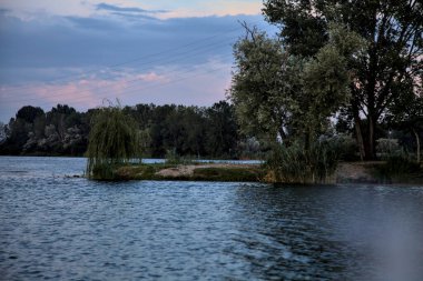 Kavak ağaçlı bir ada ve alacakaranlıkta kırsalda bir nehirde ağlayan bir söğüt ağacı