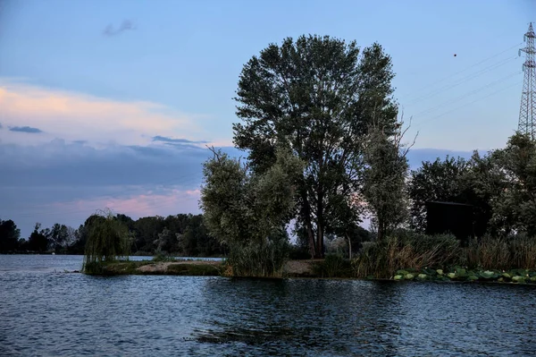 시골의한 강에서 포플러와 버드나무와 — 스톡 사진