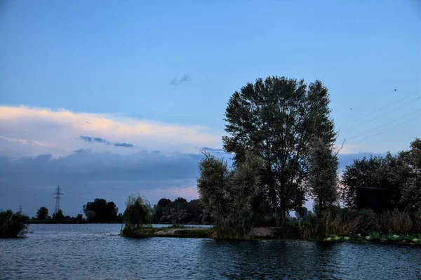 Islet Poplar Weeping Willow River Countryside Twilight — Stock Photo, Image