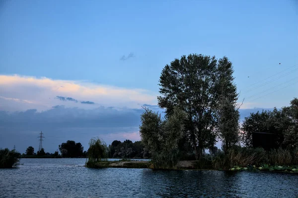 Islote Con Álamo Sauce Llorón Río Campo Atardecer — Foto de Stock