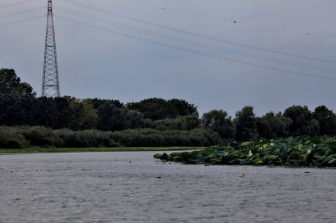 Bulutlu bir günde, alacakaranlıkta nehirde bir kanal.