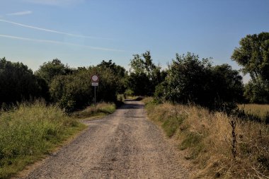 Gün batımında kırsal kesimde ağaçlarla çevrili bir yol.