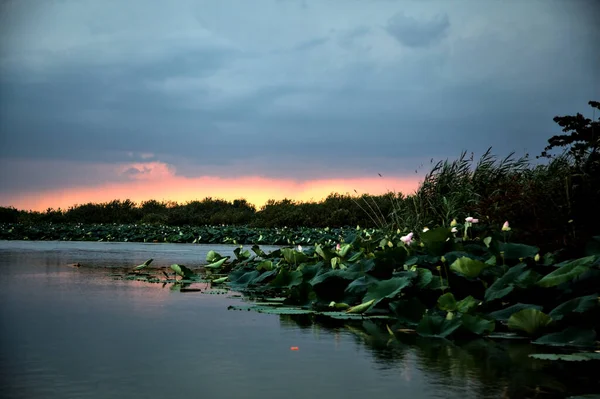 Pôr Sol Sobre Rio Campo Italiano Antes Uma Chuva — Fotografia de Stock