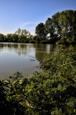 Gün batımında İtalya kırsalındaki bir parkta ağaçlarla çevrili bir nehrin körfezi.