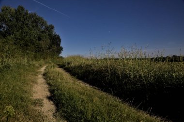 Gün batımında altında tarlalar olan bir setin tepesinde yol