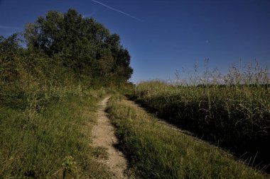 Gün batımında altında tarlalar olan bir setin tepesinde yol