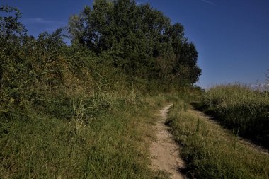 Gün batımında altında tarlalar olan bir setin tepesinde yol