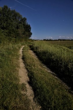 Gün batımında altında tarlalar olan bir setin tepesinde yol