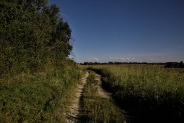 Gün batımında altında tarlalar olan bir setin tepesinde yol