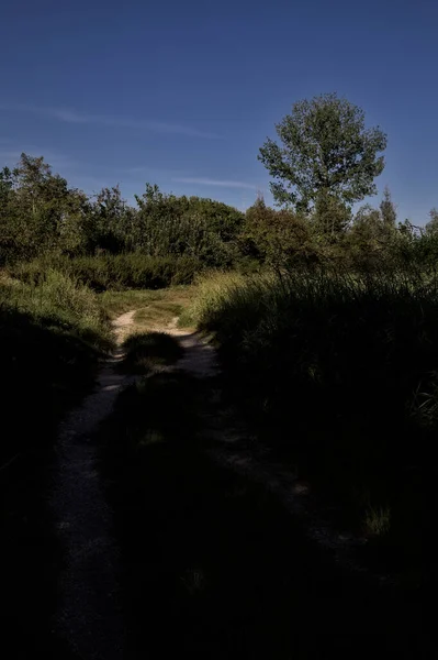 Pfad Schatten Gesäumt Von Bäumen Auf Einer Böschung Der Landschaft — Stockfoto