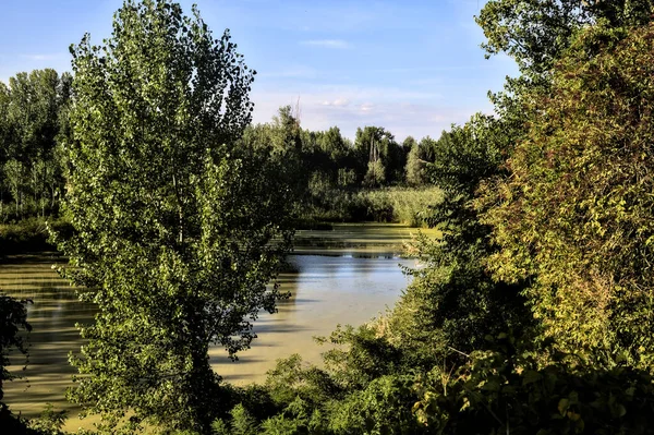 Ingresso Fiume Delimitato Alberi Parco Nella Campagna Italiana Tramonto — Foto Stock