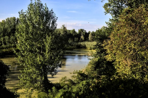 Entrada Río Bordeado Árboles Parque Campo Italiano Atardecer — Foto de Stock