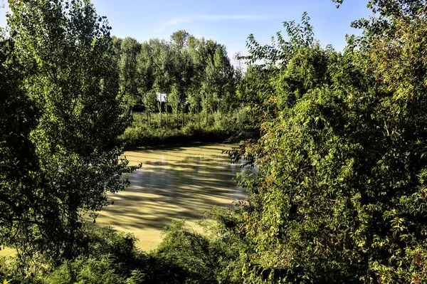 日落时 在意大利乡村的一个公园里 一条被树木环绕的小河的入口 — 图库照片