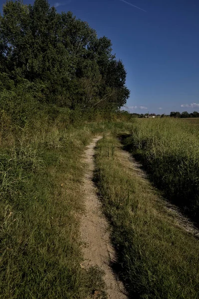 stock image Path on the top of an embankment with fields below it at sunset