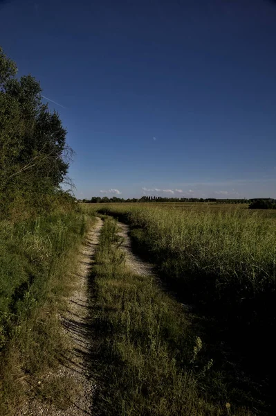 Camino Parte Superior Terraplén Con Campos Debajo Atardecer —  Fotos de Stock