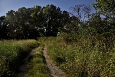 Gün batımında altında tarlalar olan bir setin tepesinde yol