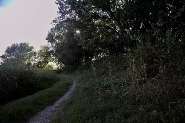 Gün batımında kırsal kesimde ağaçlarla çevrili gölgede yol.