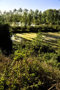 Gün batımında İtalya kırsalındaki bir parkta ağaçlarla çevrili bir nehrin körfezi.