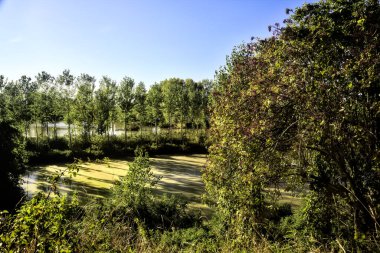 Gün batımında İtalya kırsalındaki bir parkta ağaçlarla çevrili bir nehrin körfezi.