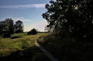 Gün batımında kırsal kesimde ağaçlarla çevrili gölgede yol.