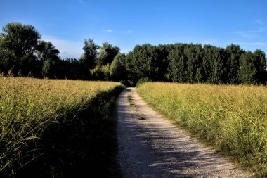 Gün batımında kırsal bir alana çıkan tarlalarla çevrili çakıl yolu.