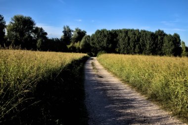 Gün batımında kırsal bir alana çıkan tarlalarla çevrili çakıl yolu.