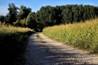 Gün batımında kırsal bir alana çıkan tarlalarla çevrili çakıl yolu.