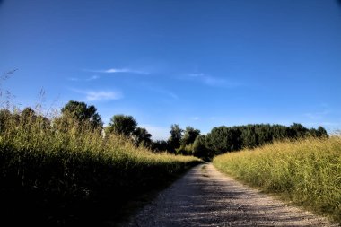 Gün batımında kırsal bir alana çıkan tarlalarla çevrili çakıl yolu.